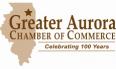 IL 100 year logo brown 08_17.jpg